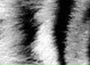 Sergei Ganshyn SV | Николаев