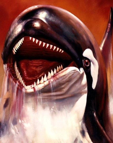 Вика Вырыпаева | 