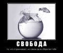 №21 Ирина Б : профиль, фото, статус - ВКонтакте №21 Ирина Б : профиль, фото, статус - ВКонтакте