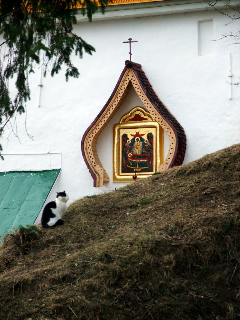 Ольга Чигина | Нижний Новгород