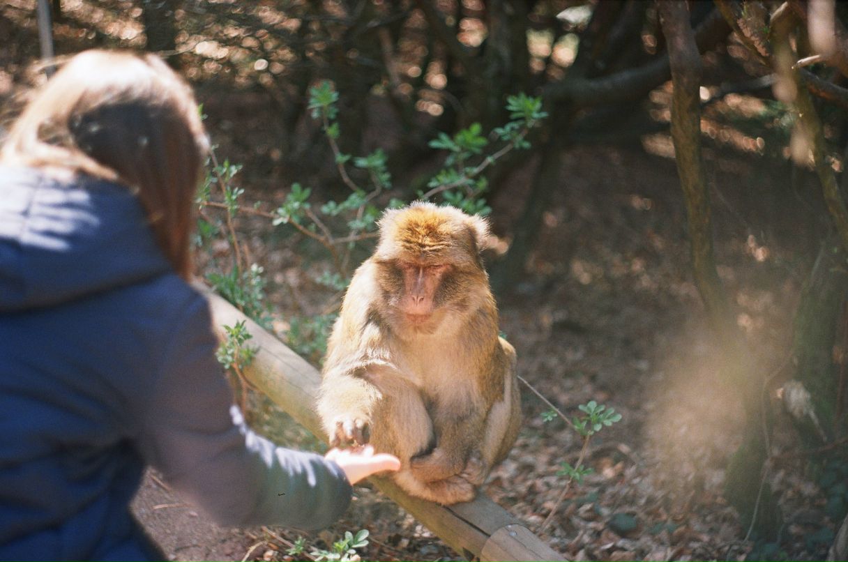 Станислав Андросов | Москва
