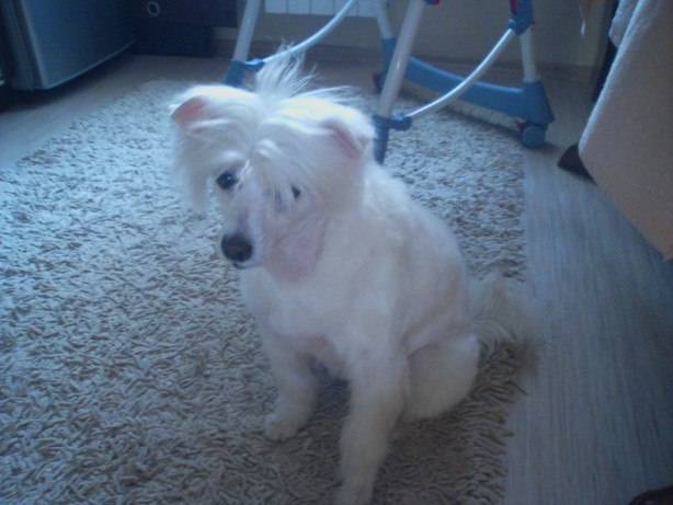 Наталья Гофманайте | Челябинск