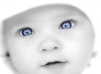 Олександр Гвоздик | Луцк