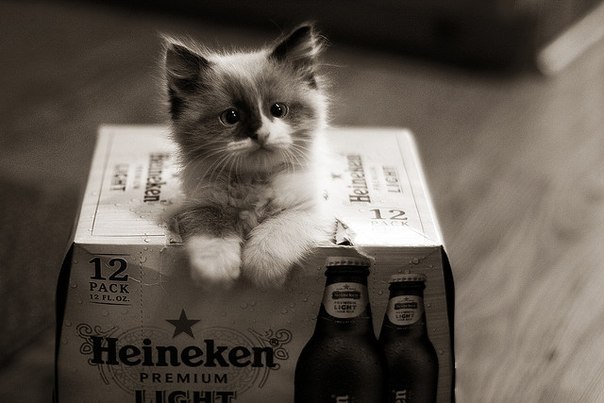 Артем Ковальчук | Минск