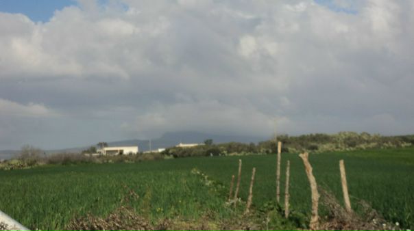 №118, Hamza Methanni, Омск №118, Hamza Methanni, Омск