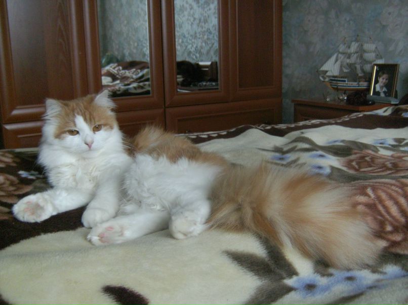 Алексей Фесенко | Чернигов