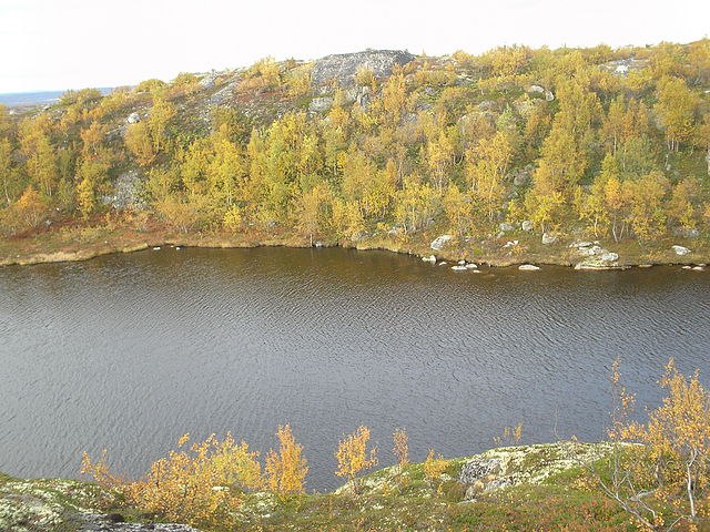 Виталий Прокопець | Волковинцы