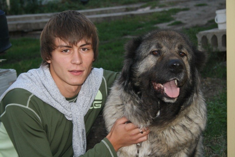 Константин Волл | Москва