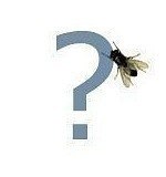 Алиса Щербак | Новосибирск