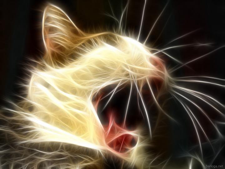 Сергій Козак | 