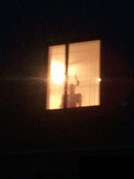 Лилия Андреева | 