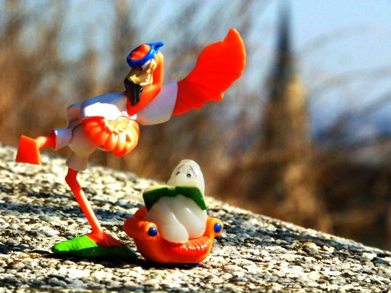 Александр Колбасевич | Cluj-Napoca