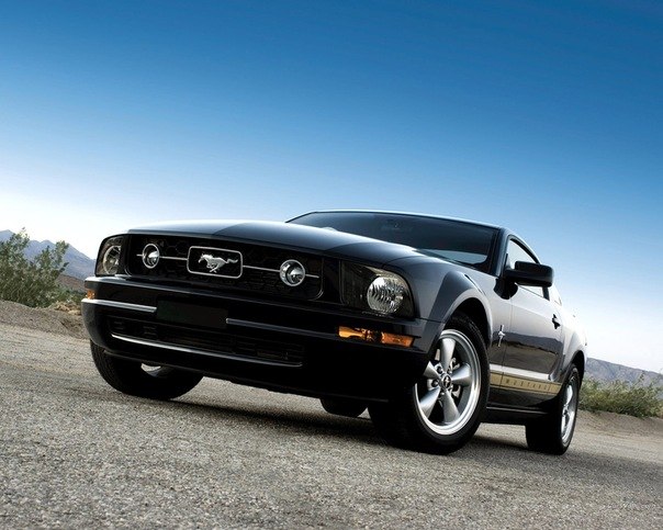 Рома Стецкович Білий | Свалява