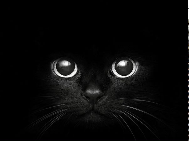 №26, Виталий Островерхов, 43 года, Бровары №26, Виталий Островерхов, 43 года, Бровары