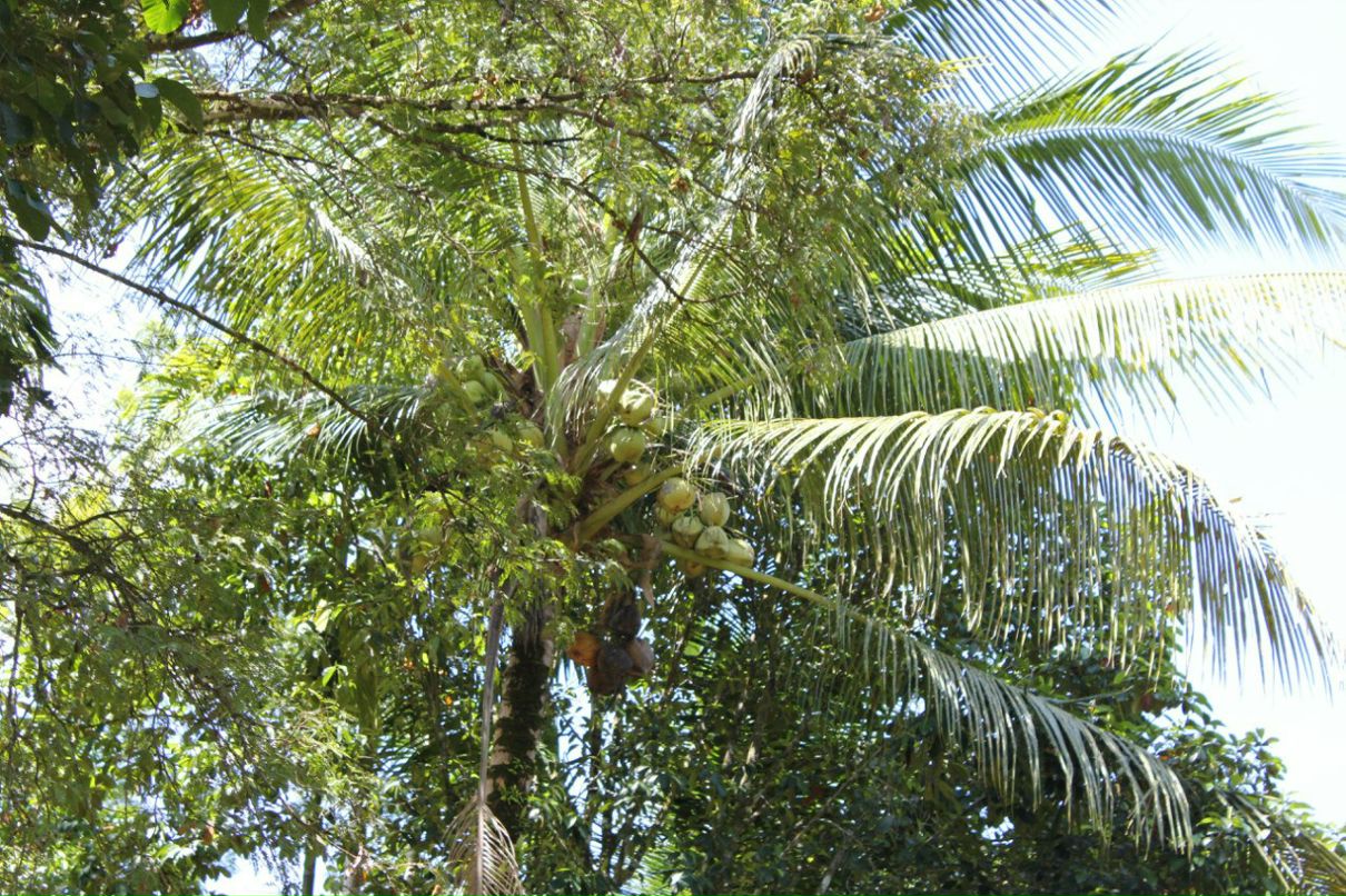 Анна Шугаева | Санкт-Петербург