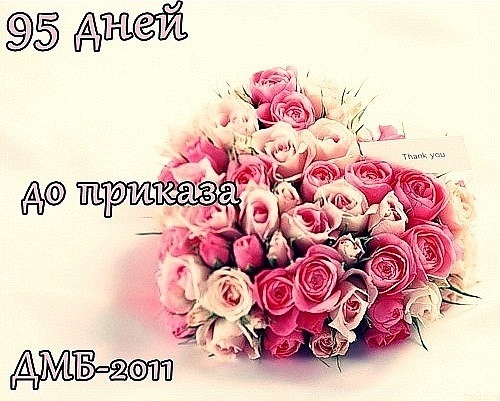 №48, Юленька Семенова, 33 года, Тула №48, Юленька Семенова, 33 года, Тула