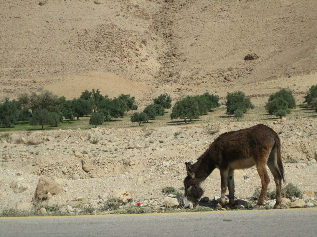 Ольга Курохтина | Москва