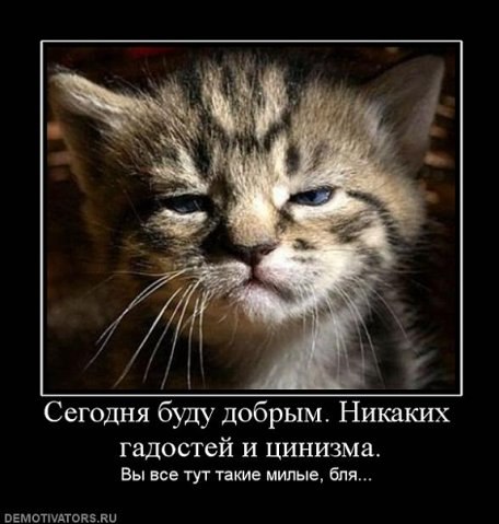 Георгий Вдовик ,,i,,_______(^_^)_______,,i,, | Одесса