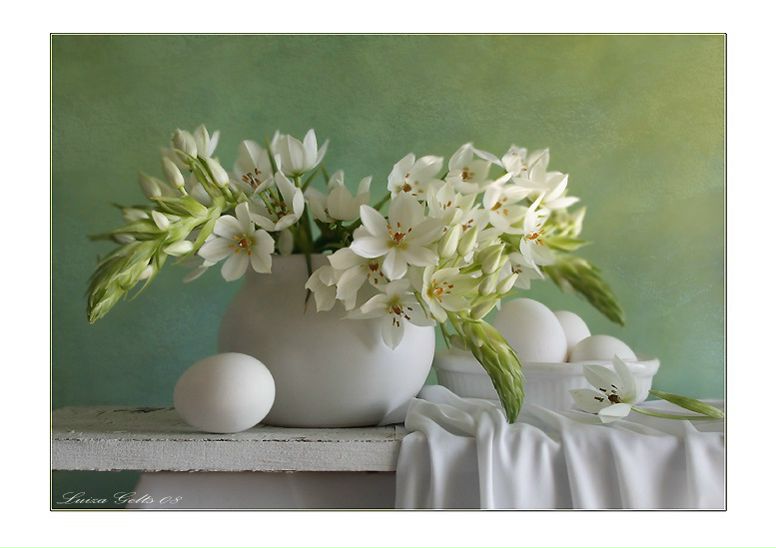 №19, Надежда Баширова №19, Надежда Баширова