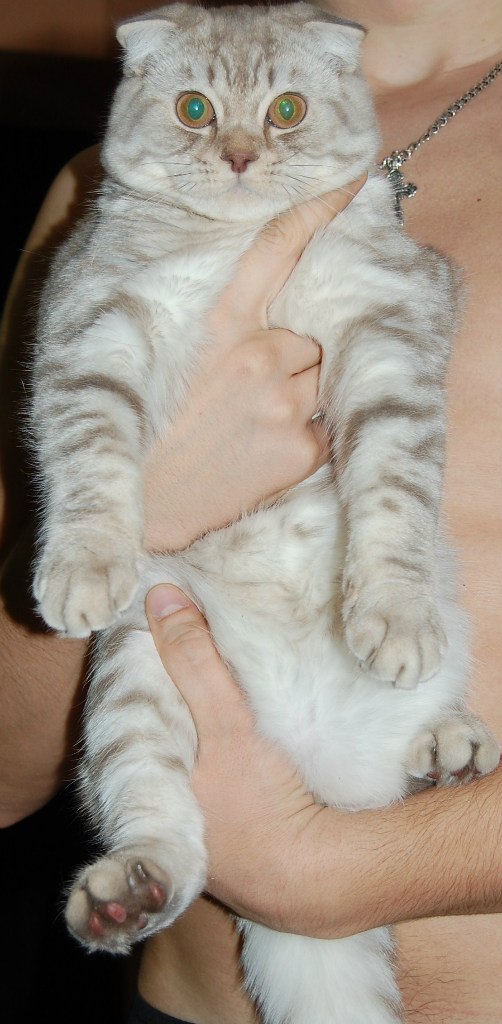 Крис Черепенникова | Волгоград