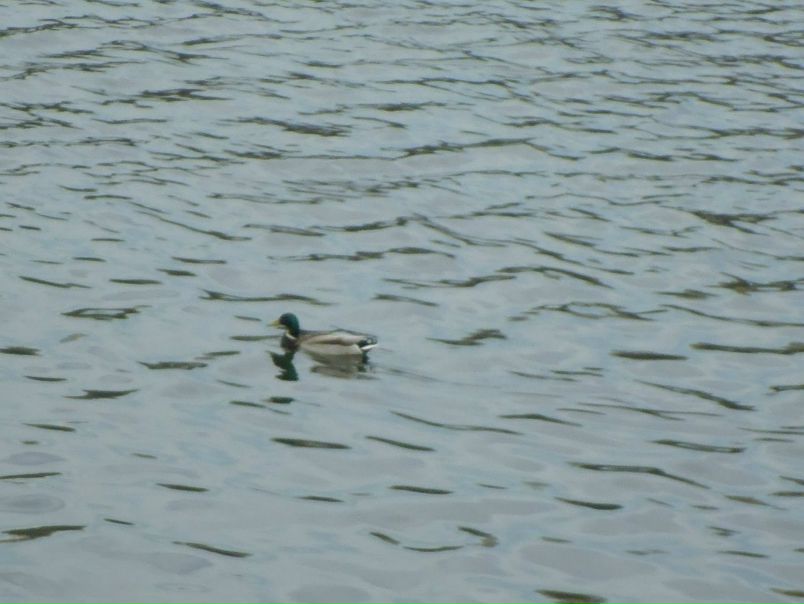 №53, Владимир Атрахимов, Макеевка №53, Владимир Атрахимов, Макеевка