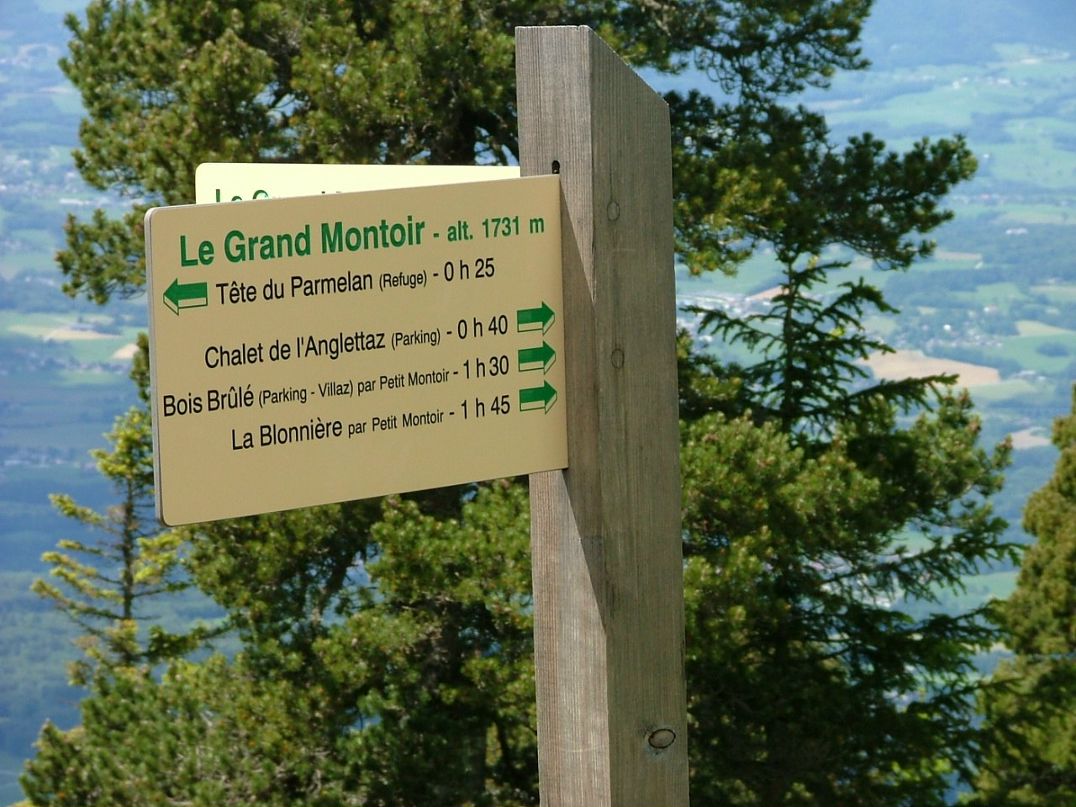 Фредерика Фошэ | Paris