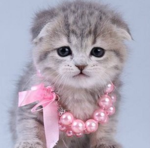 Олечка Евдокимова | Санкт-Петербург