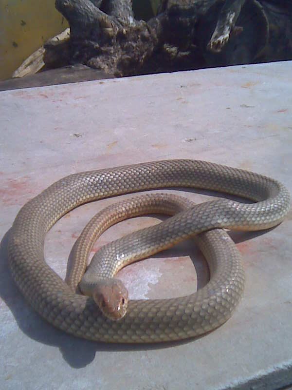 Андрей Филичкин | Ульяновск