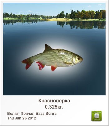 Олег Ковалёв | Дружковка