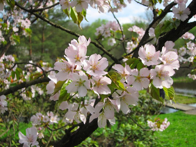 Анастасия Егорова | Казань