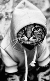 Ксения Родионова | Москва