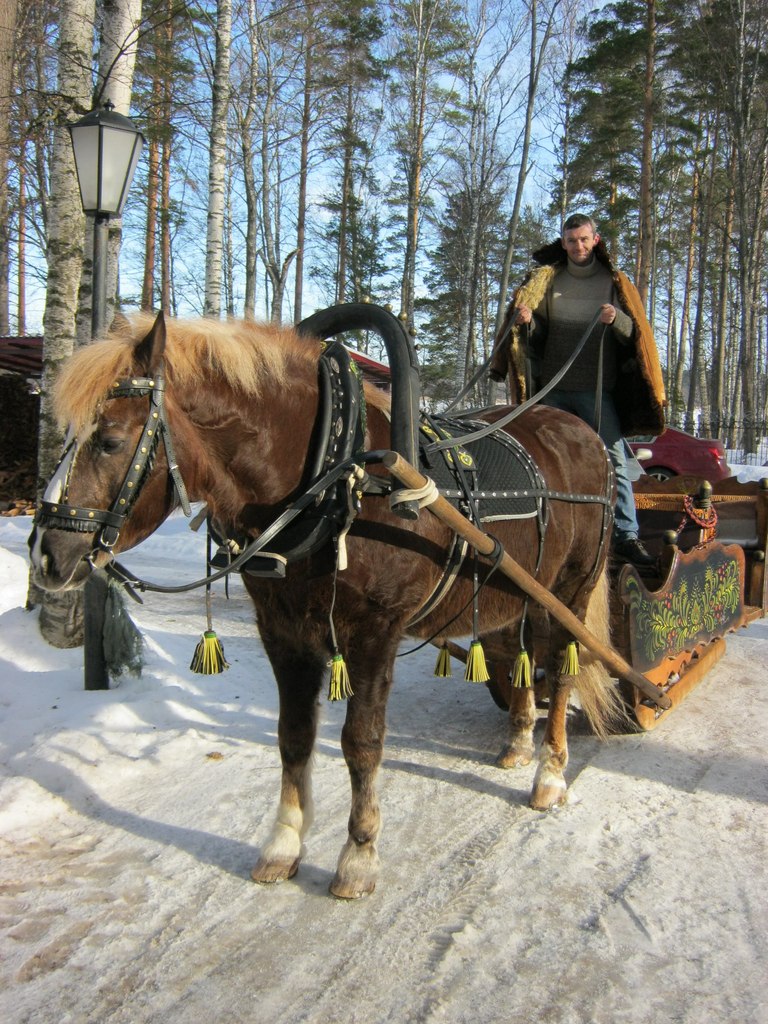 Сергей Тимофеев | Санкт-Петербург