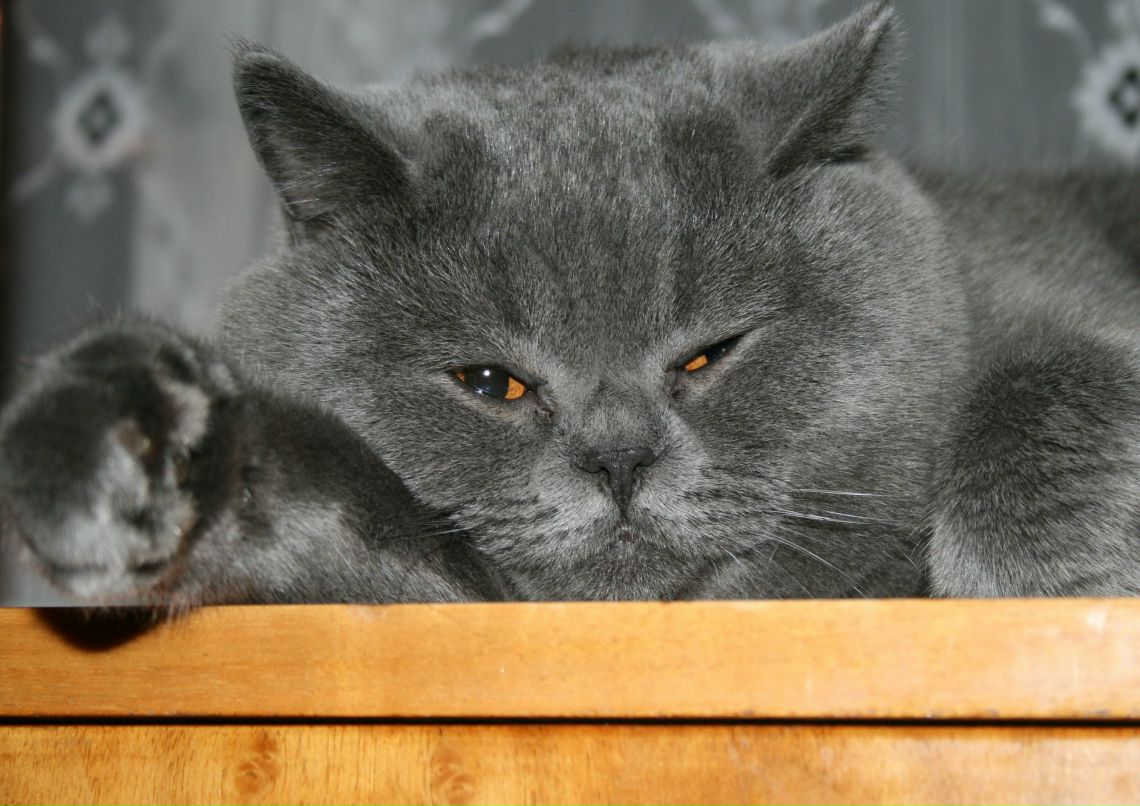 Александр Юрков | Николаев