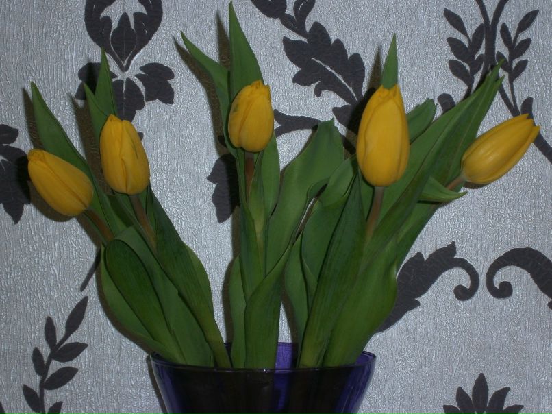 Оксана Смирнова | Череповец