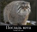 Максим Сарайкин фотография #26 (источник - https://vk.com/id5624452)