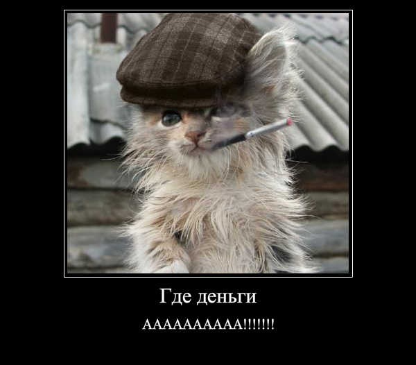 №66, Алёна Кириченко, Кременчуг №66, Алёна Кириченко, Кременчуг