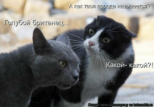 Андрей Головин фото со стены #2