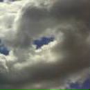 Nika Safronova | Санкт-Петербург