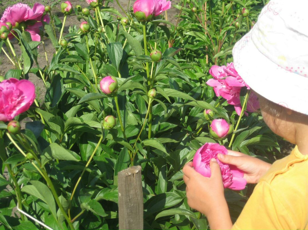 Оксана Гончарова | Санкт-Петербург