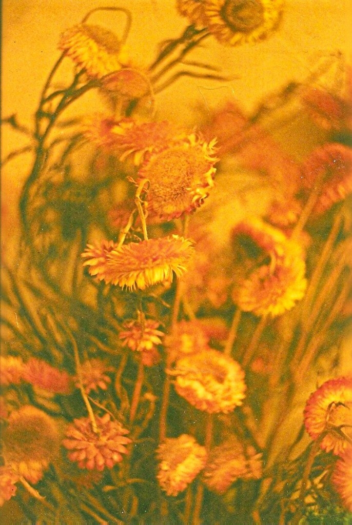 Юлия Сорокина | Москва