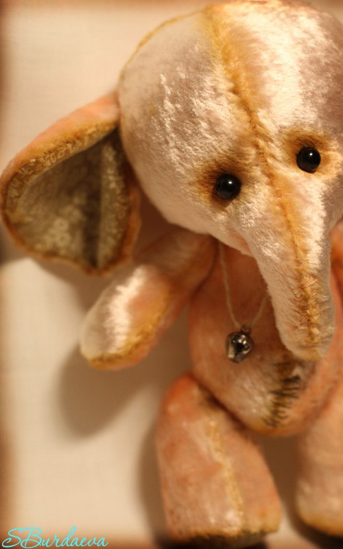 Светлана Емельянова | Вологда