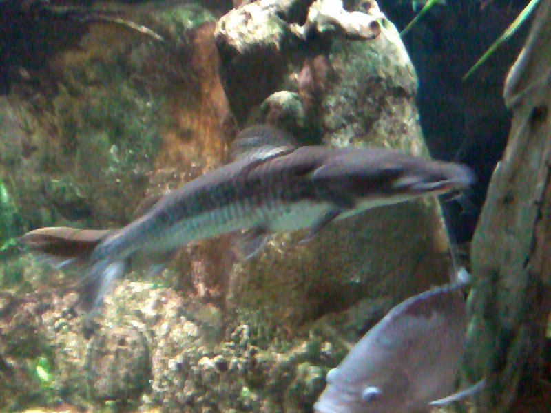 Татьяна Баранова | Санкт-Петербург