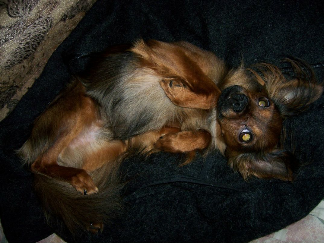 Ольга Виноградова | Санкт-Петербург