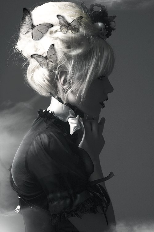 Андрей Викторов | Мурманск