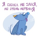 №24 Lena Kenaz