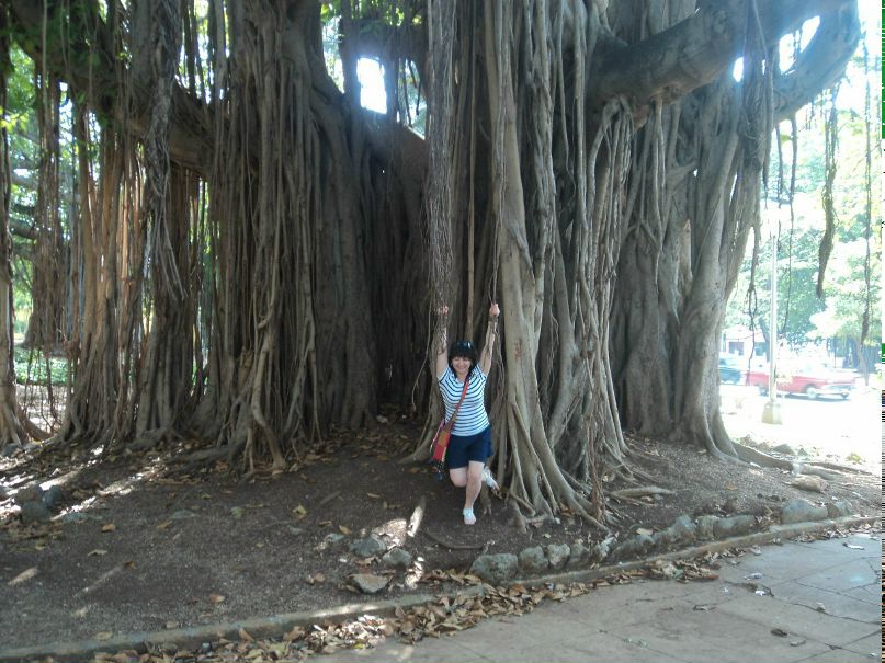 Пэдуре Инна | Алматы