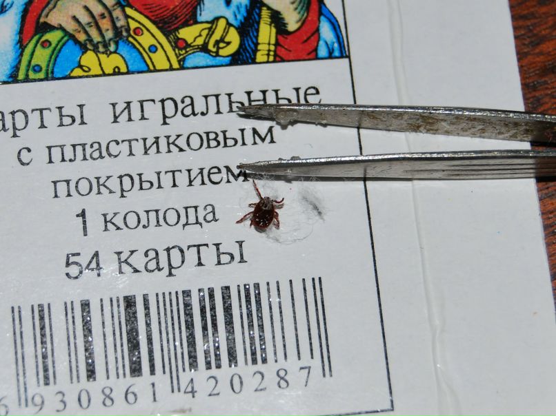 №30, Юлия Кударенко, Заозерск №30, Юлия Кударенко, Заозерск