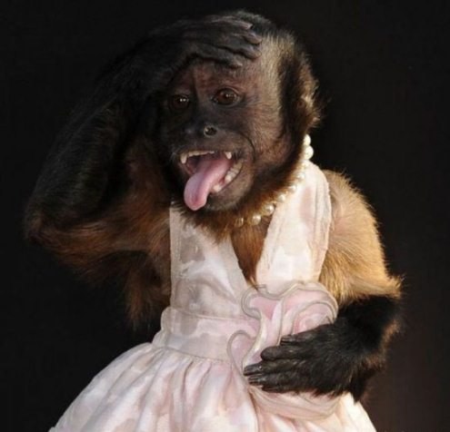 Ирина Чеснокова | Славянск