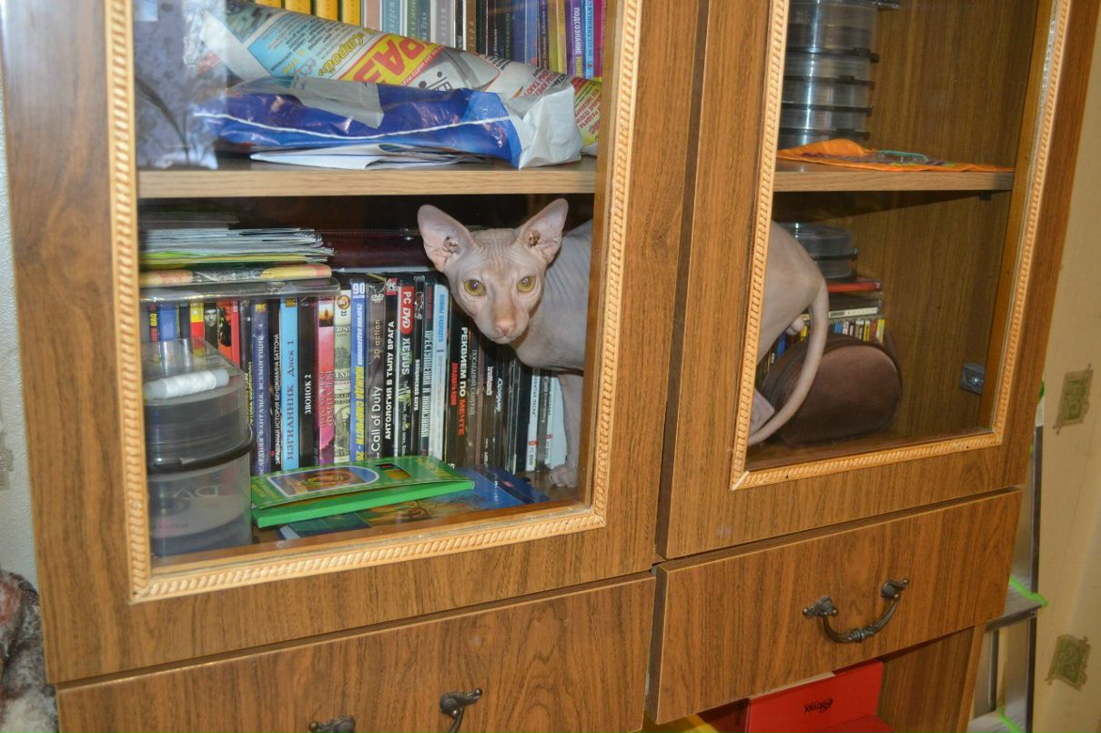 Ирина Новожилова | Череповец