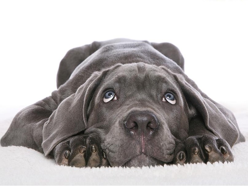 Жека Раджабов | Киев